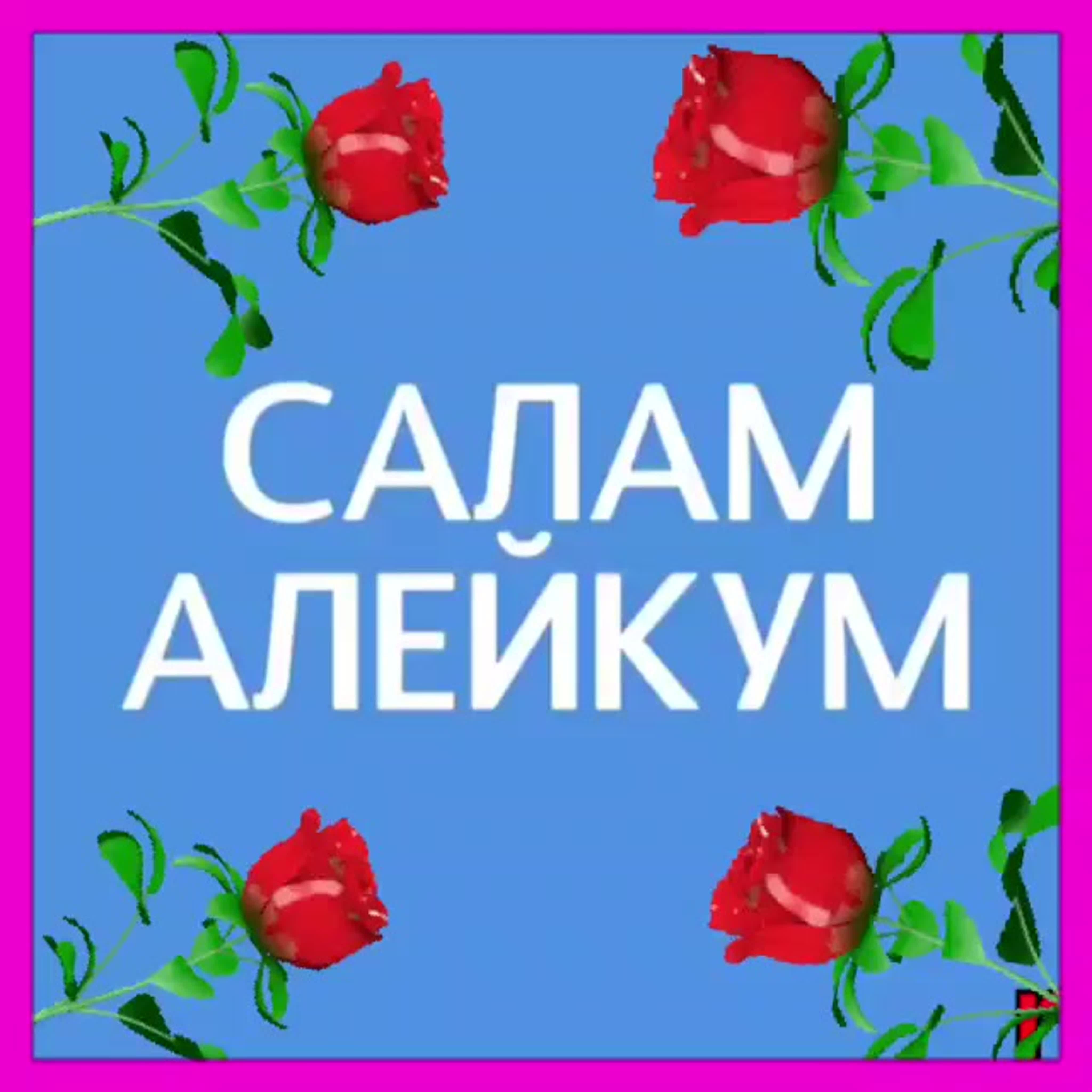 Алейкум салам открытки фото