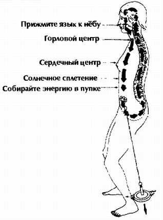 Большой небесный круг цигун рисунок фото