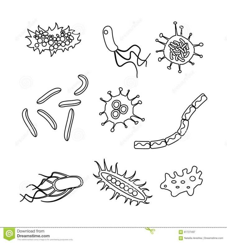 Как нарисовать микробы фото
