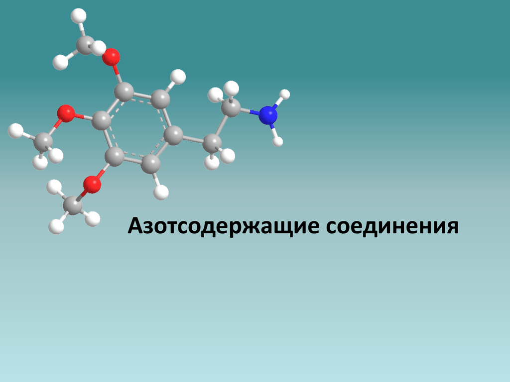 Картинки амины в природе фото