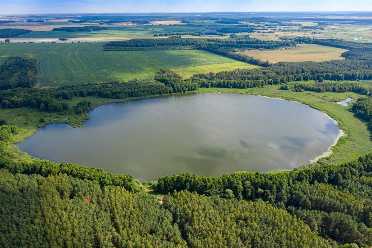 Картинки белорусские озера фото