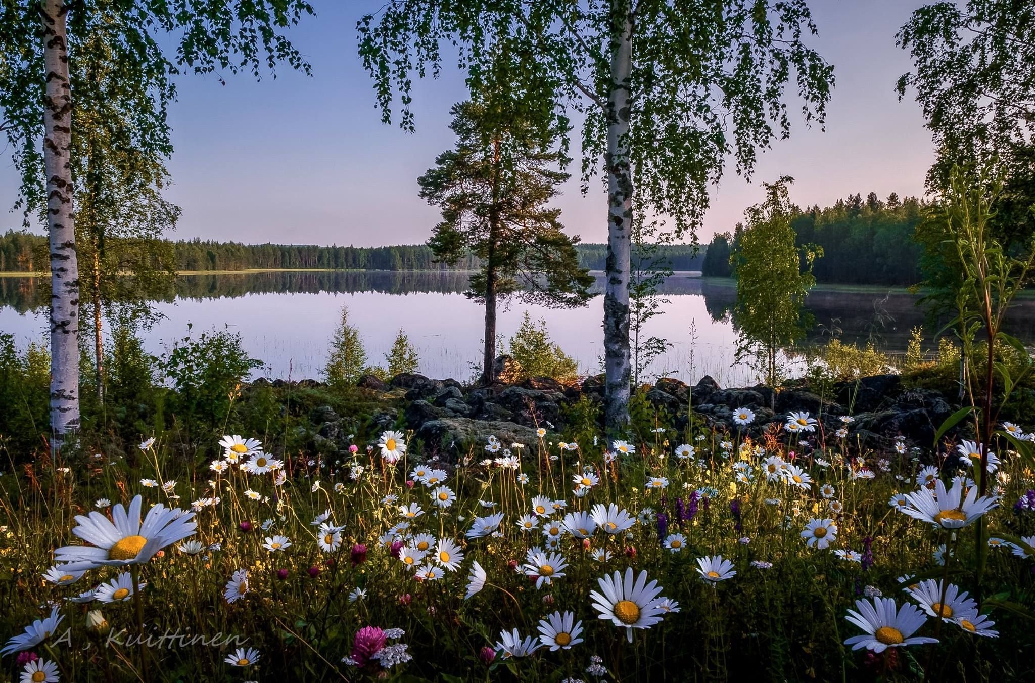 Картинки чудесного дня с природой фото