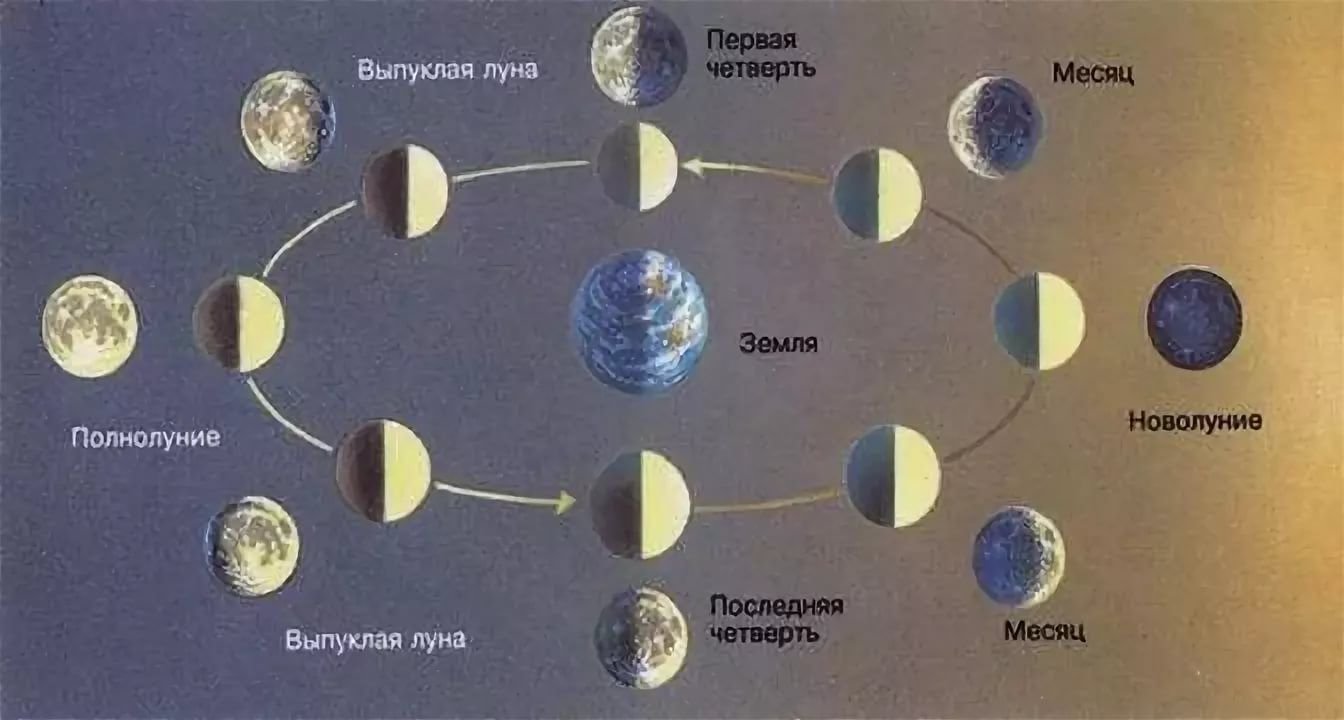 Картинки движение луны вокруг земли фото