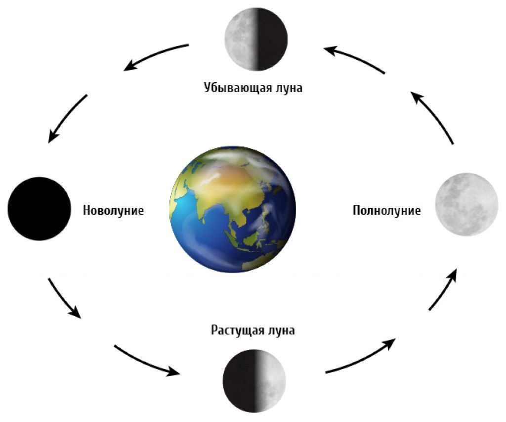 Картинки фазы луны с названиями для детей фото