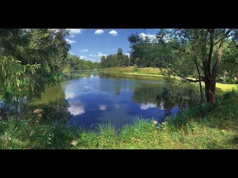 Картинки гляжу в озера синие фото