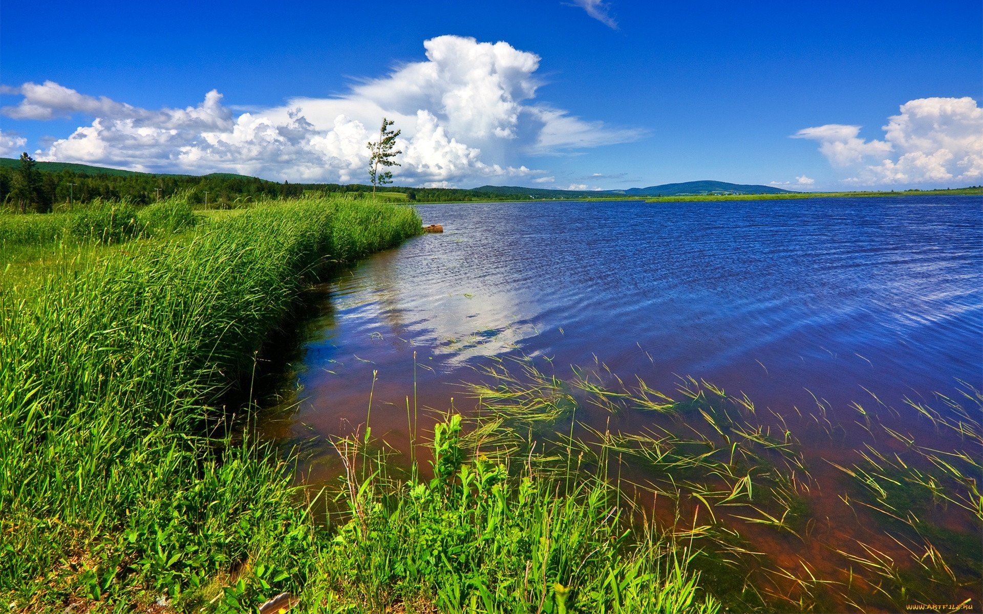 Картинки крупные реки и озера фото