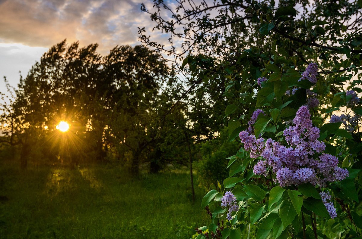 Картинки май природы с надписями фото