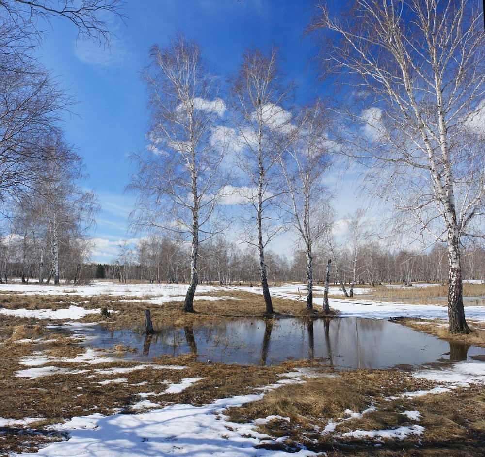 Картинки наступление весны красивые фото