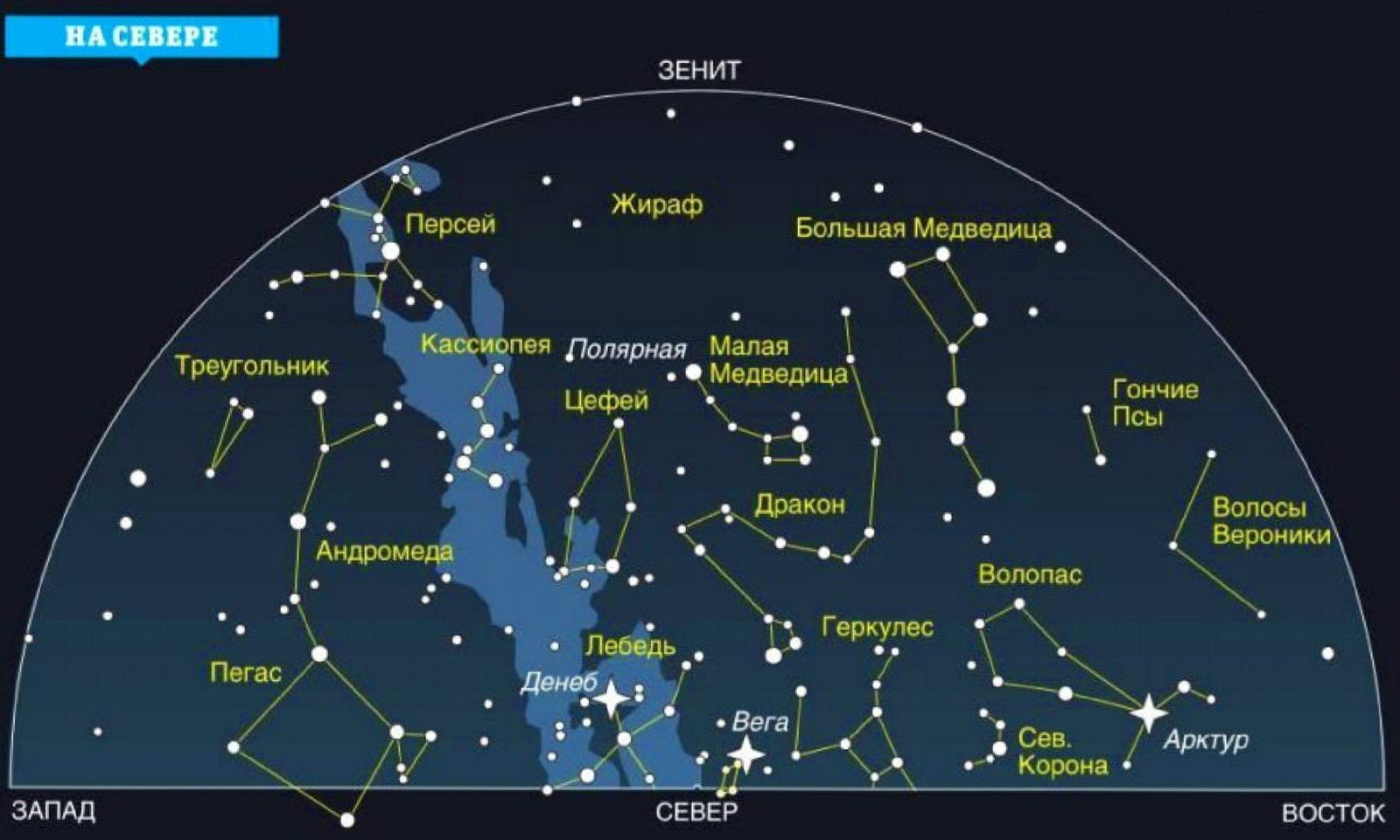 Картинки название всех созвездий на небе фото