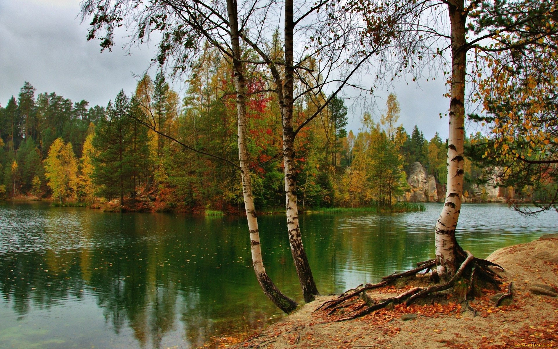 Картинки осенний лес река фото