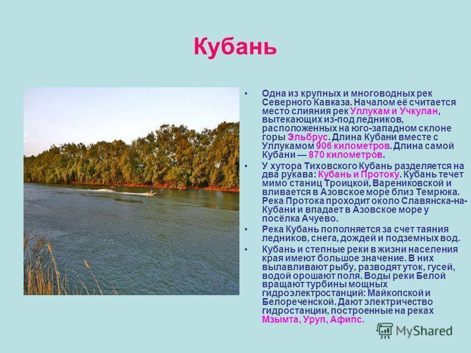 Картинки особенности природы кубани фото