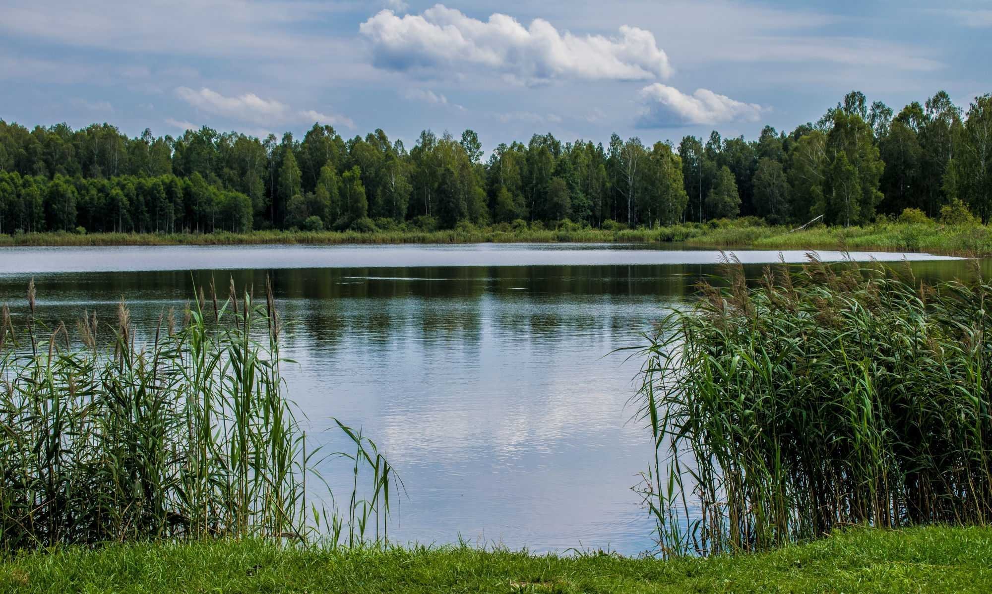 Картинки озер и водоемов фото