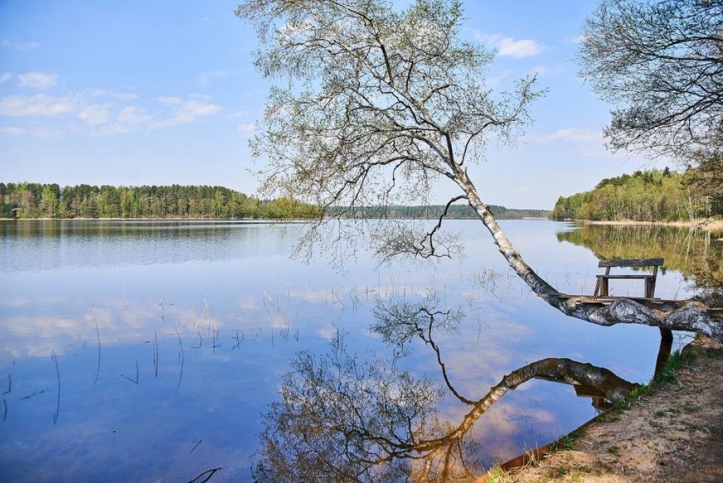 Картинки озера псковской области фото