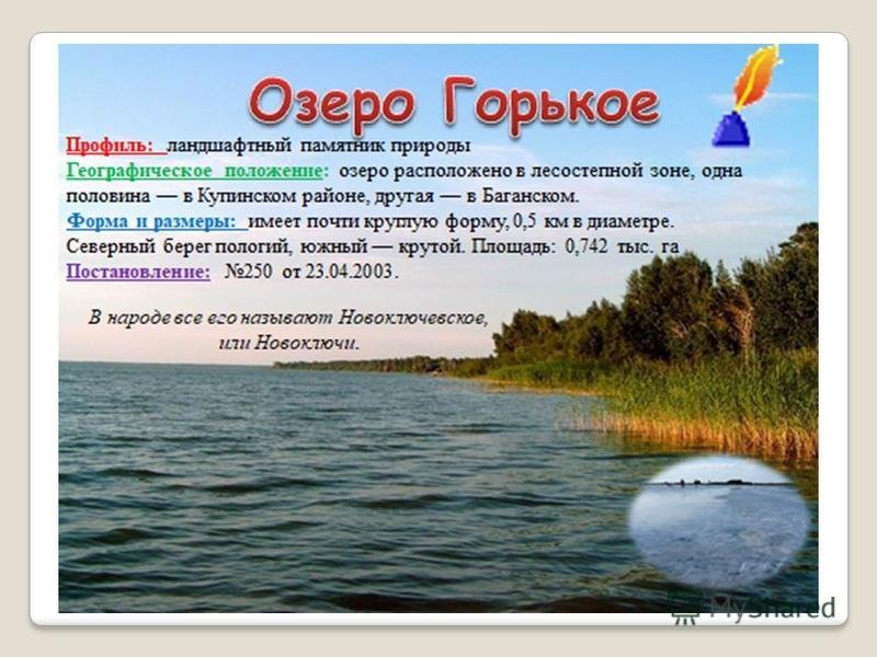 Картинки озеро горькое фото