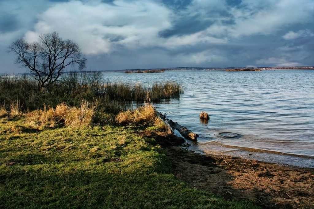 Картинки озеро сенеж фото