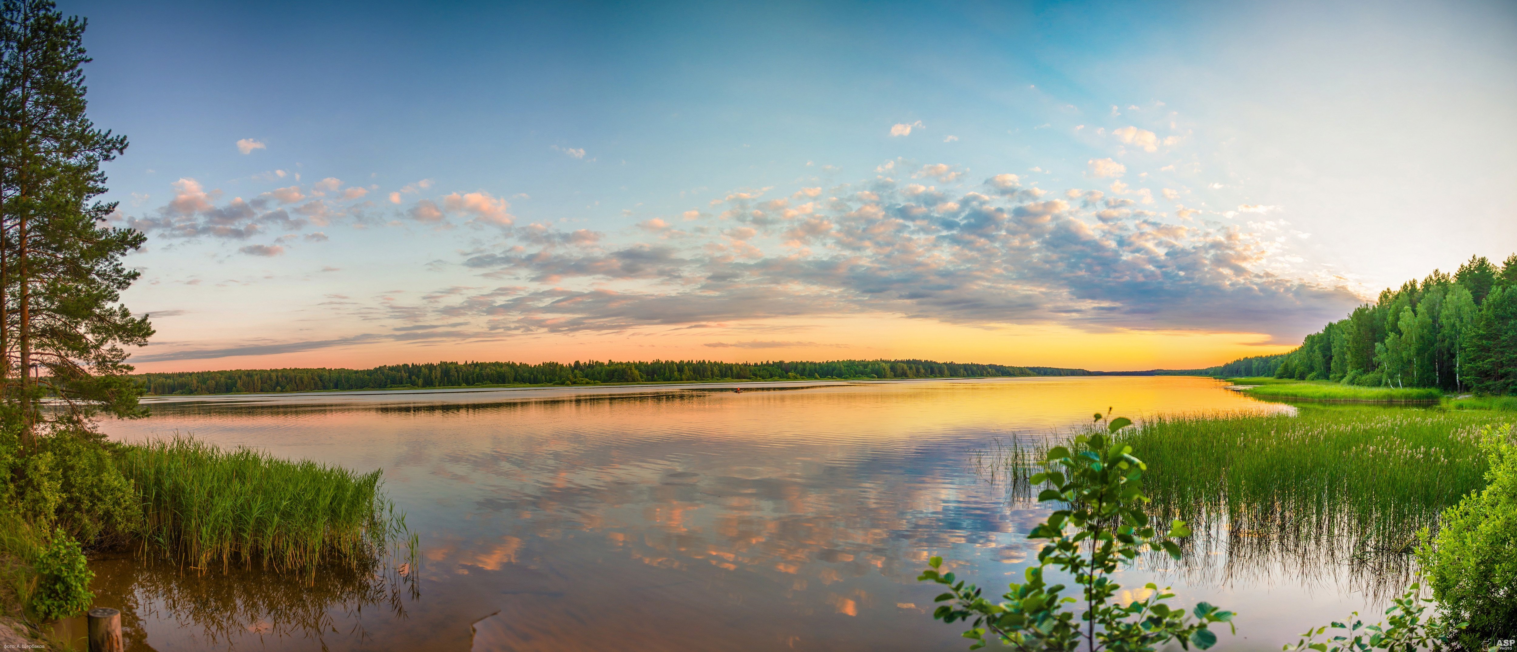 Картинки поля леса реки озера фото