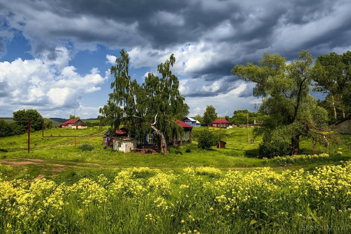 Картинки прекрасное лето в деревне фото