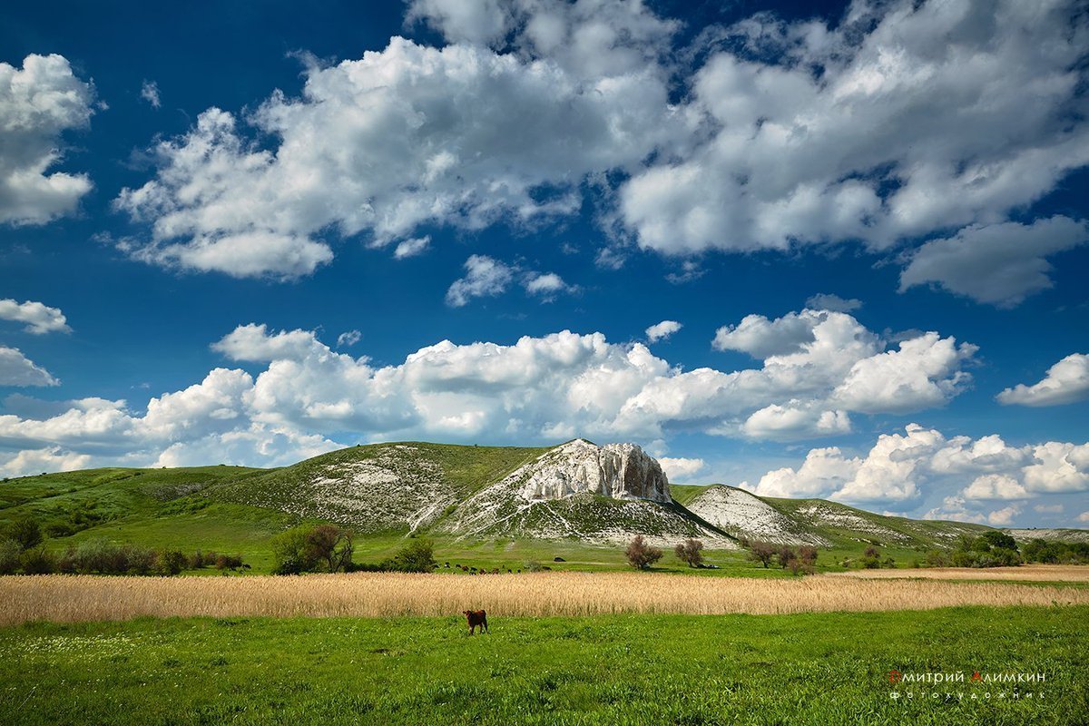 Картинки природа луганска фото