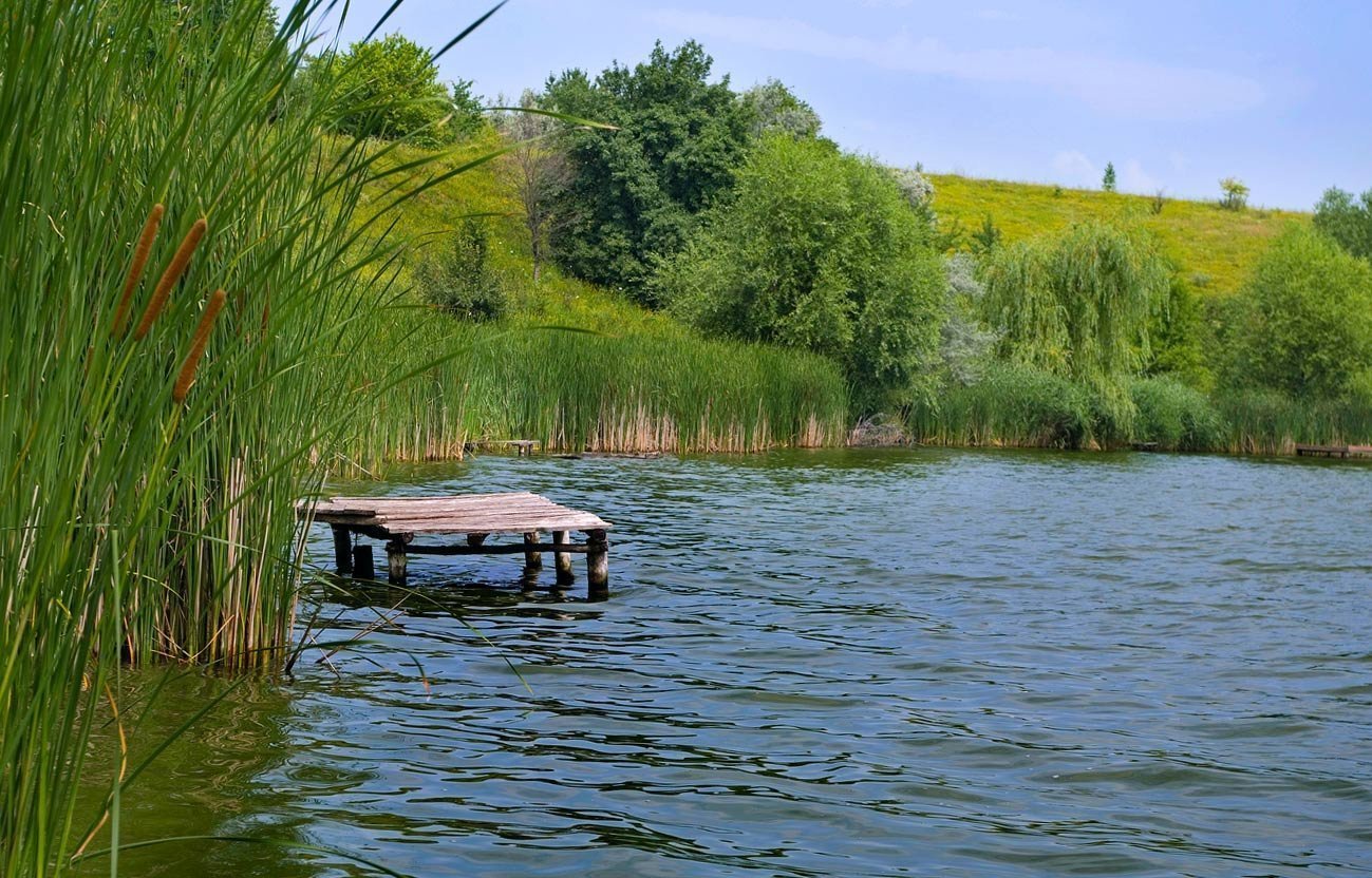 Картинки рыбалка на озере фото