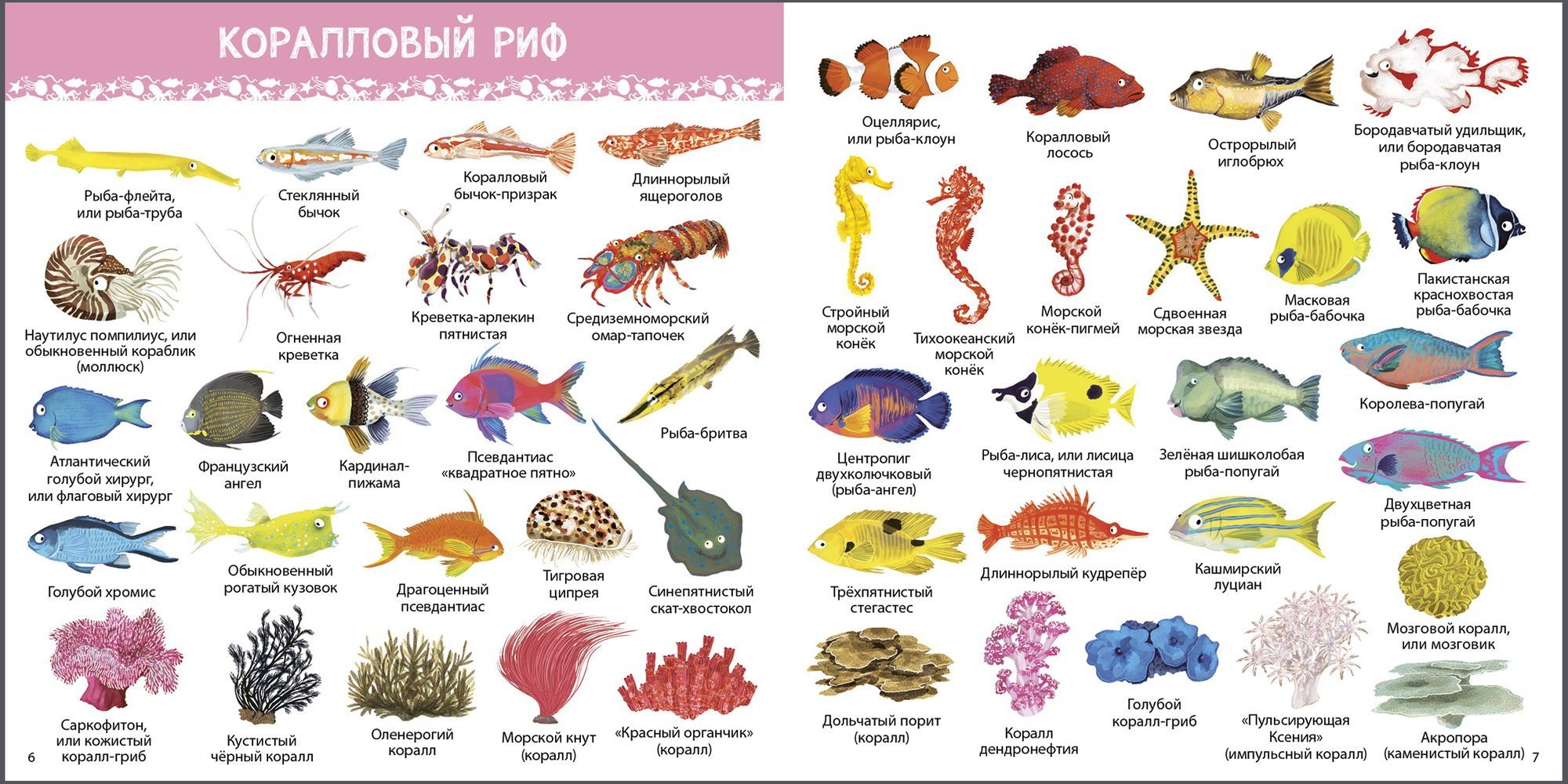 Картинки рыбы морей и океанов для детей с названиями фото