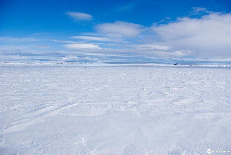 Картинки снежные равнины фото