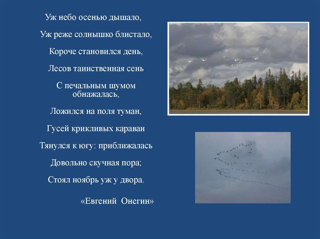 Картинки уж небо осенью дышало уж реже солнышко блистало фото