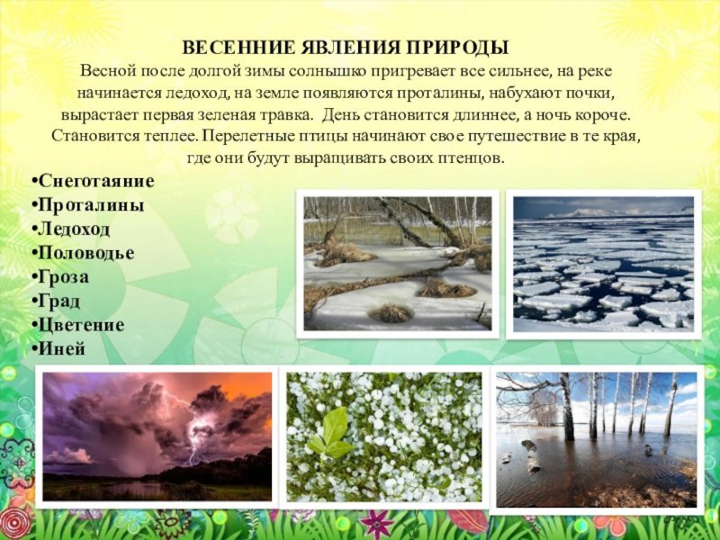 Картинки весенние явления природы для детей фото