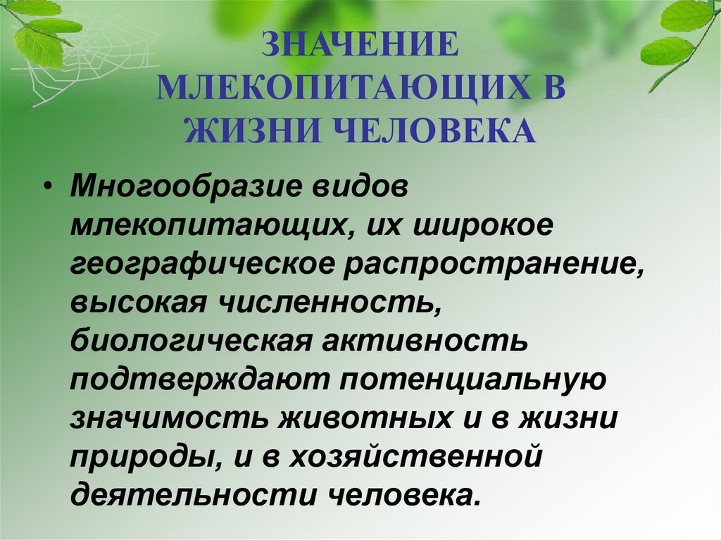 Картинки значение млекопитающих в природе и жизни человека фото