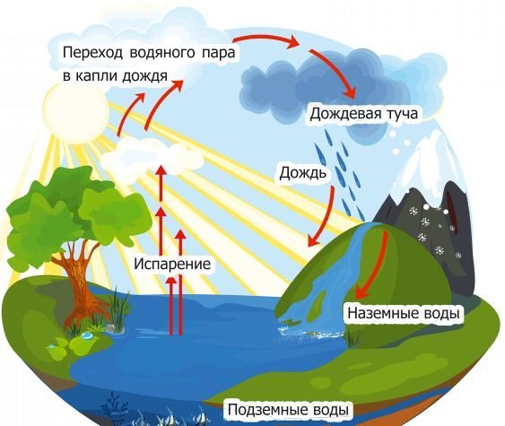 Куда девается вода из моря иллюстрация фото