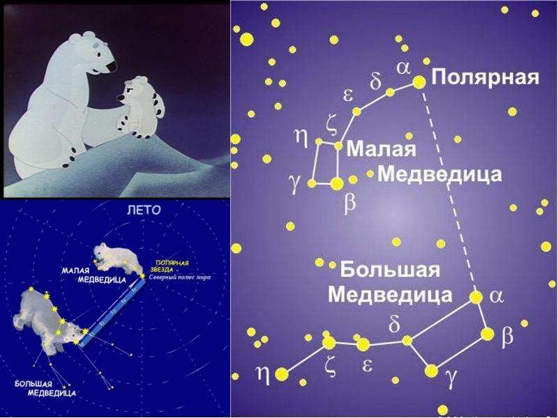 Малая и большая медведица и полярная звезда рисунок фото