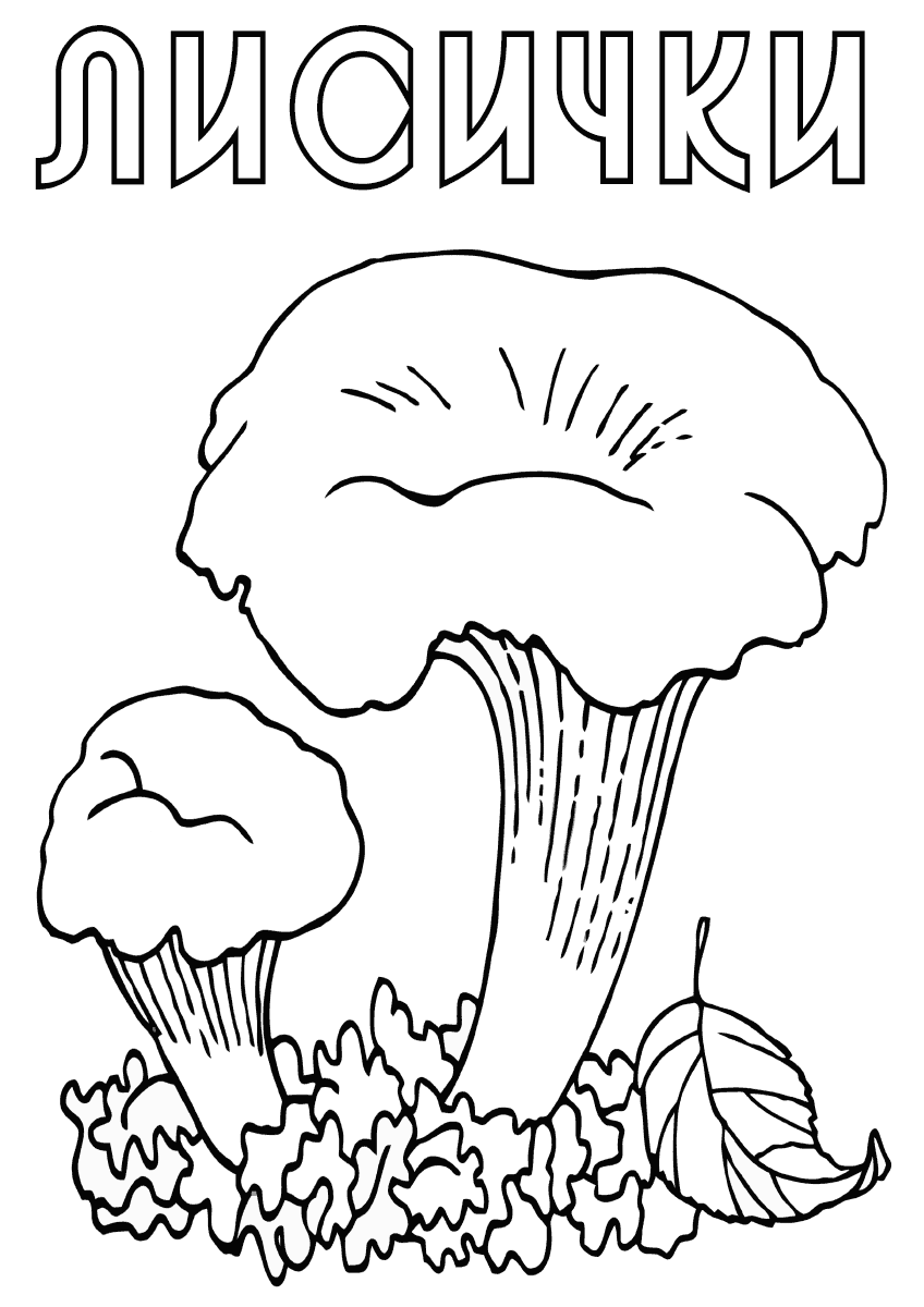 Рисунок гриб лисичка для детей карандашом фото