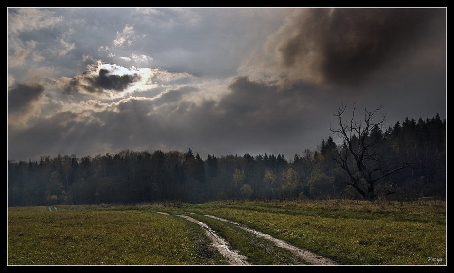 Серый день картинки фото