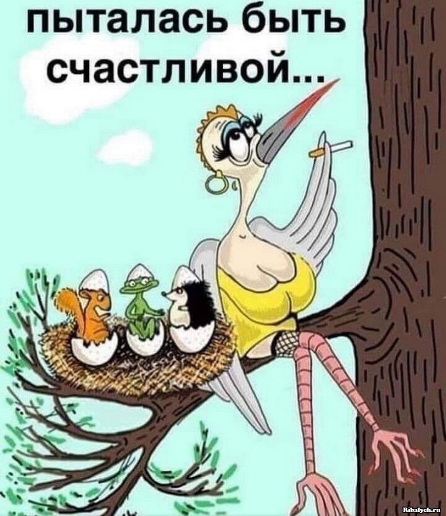 Юмор открытки фото