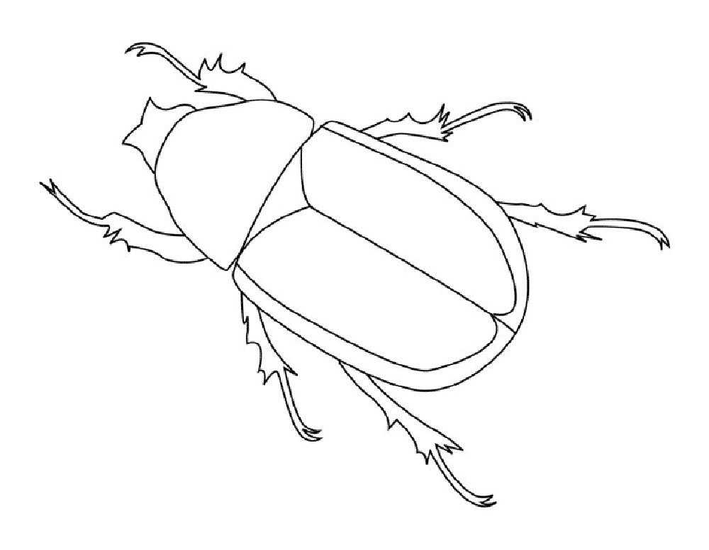 Жук олень контурный рисунок фото
