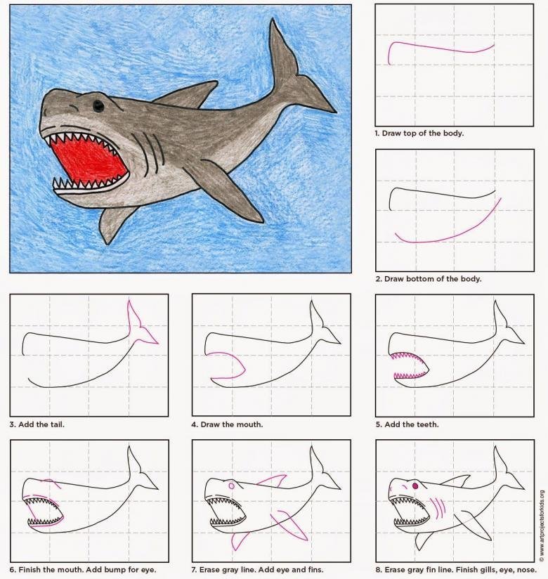 Акула карандашом рисунок для детей фото
