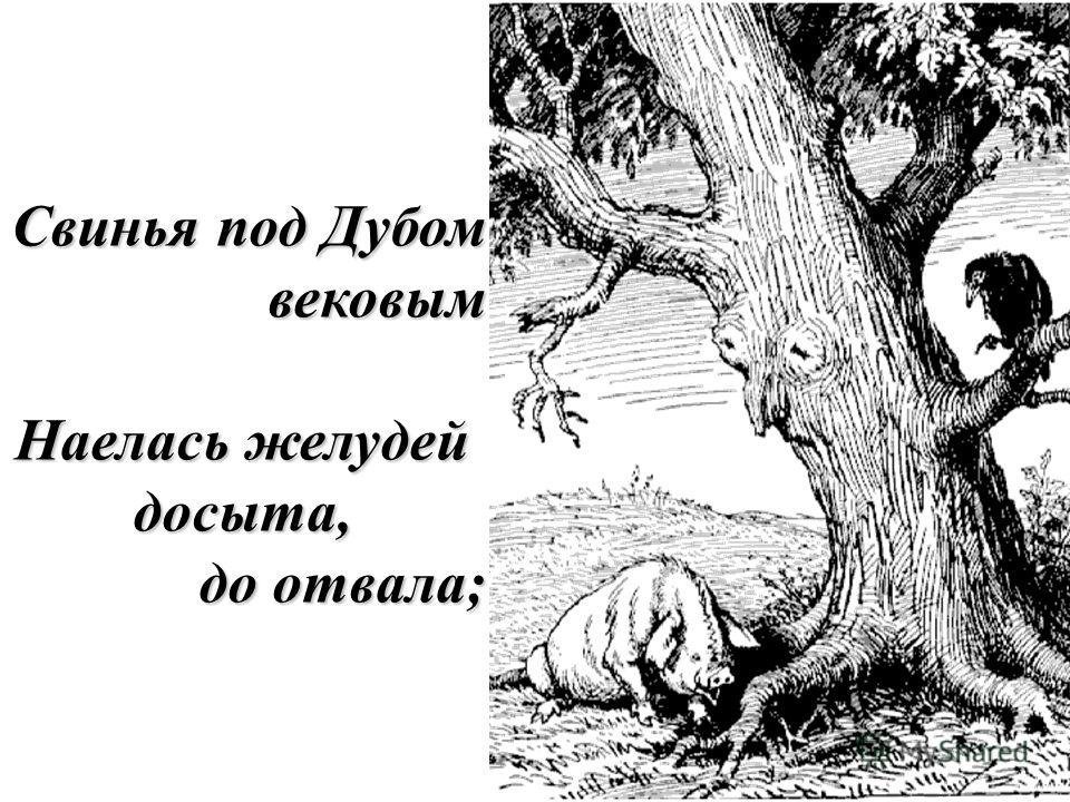 Басня крылова свинья под дубом рисунок карандашом фото