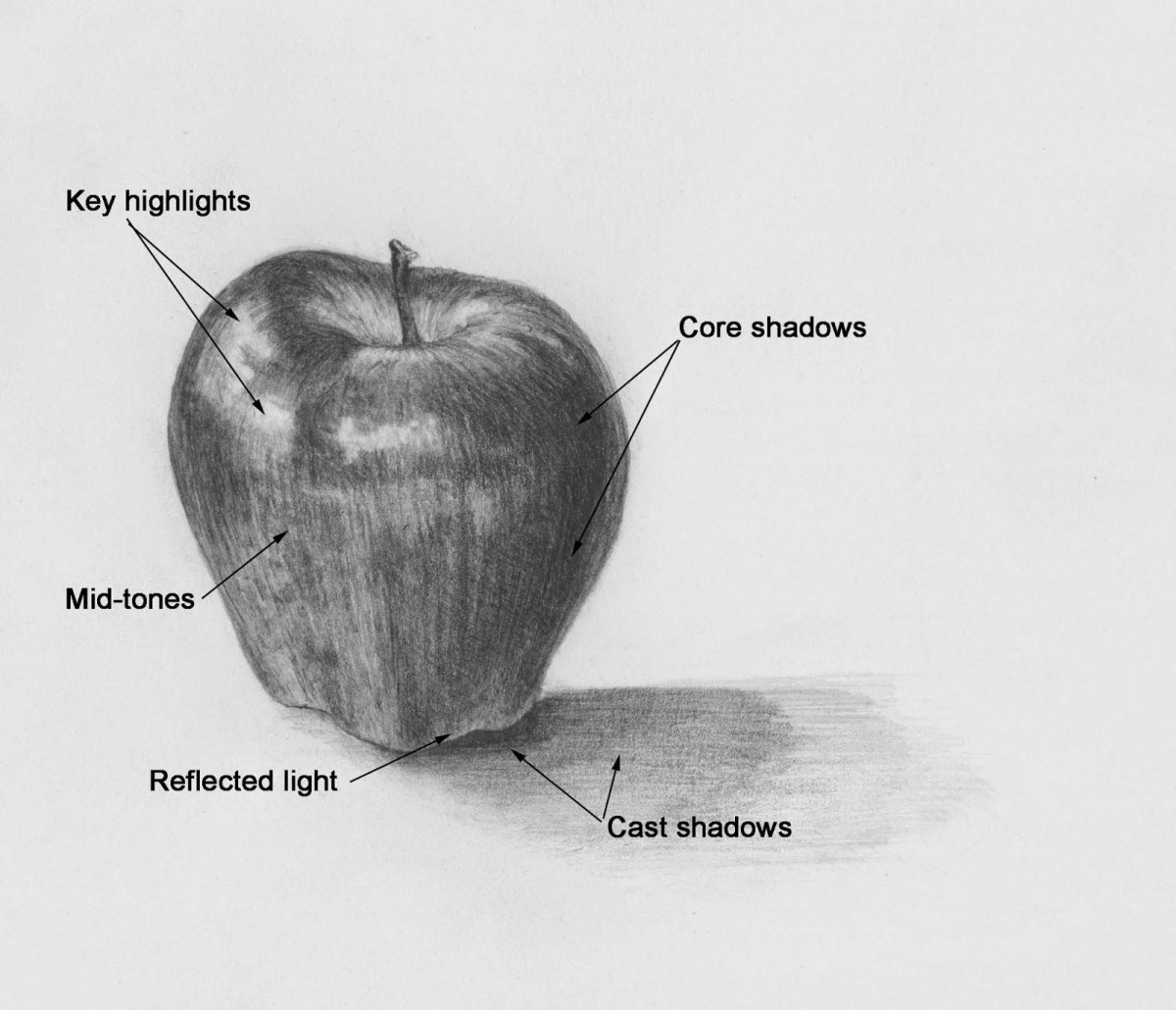 Черно белое яблоко рисунок с тенями фото
