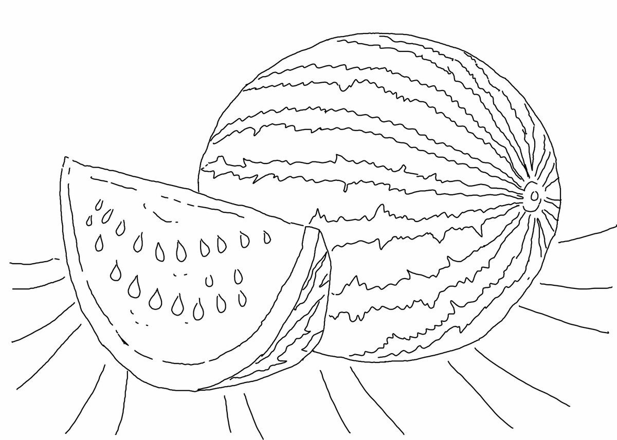 Черно белый рисунок дыни фото