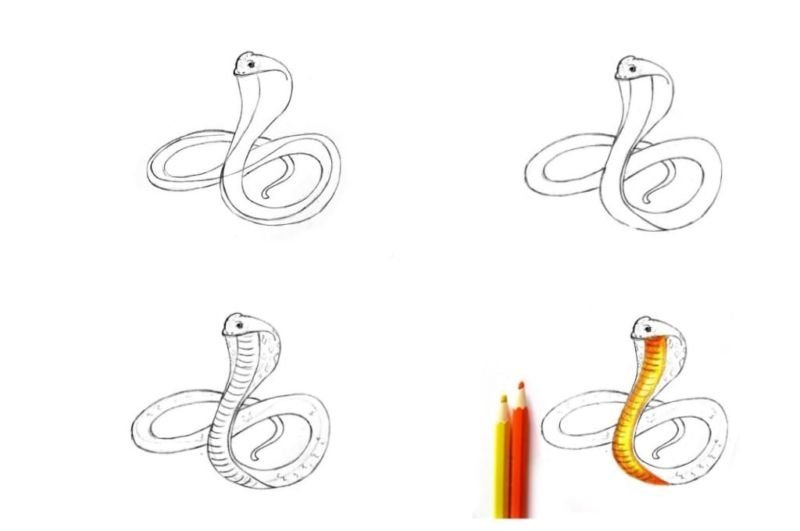 Кобра рисунки легкие фото