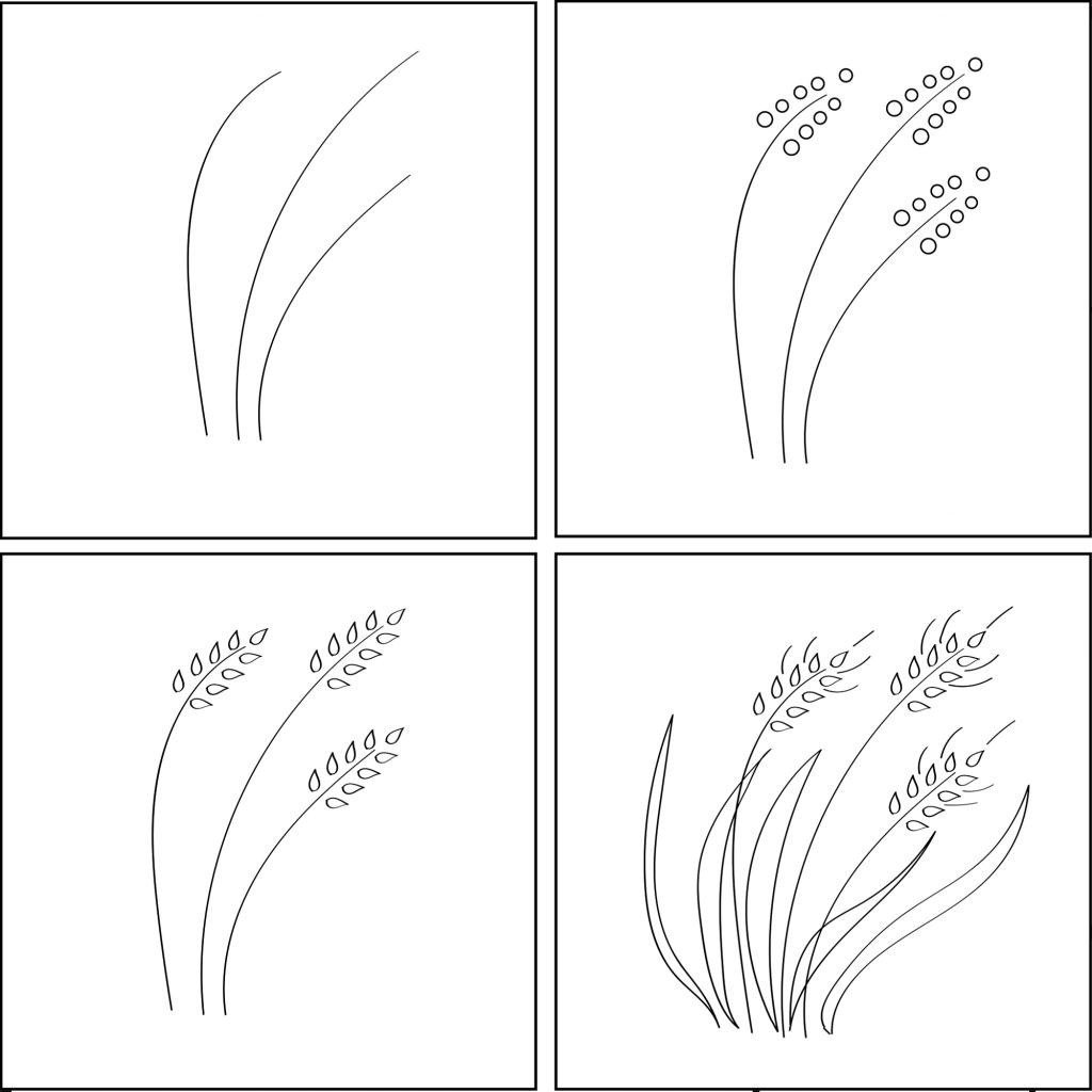 Колосок рисунок карандашом для детей фото