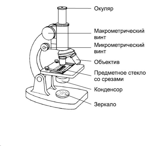 Микроскоп рисунок карандашом фото