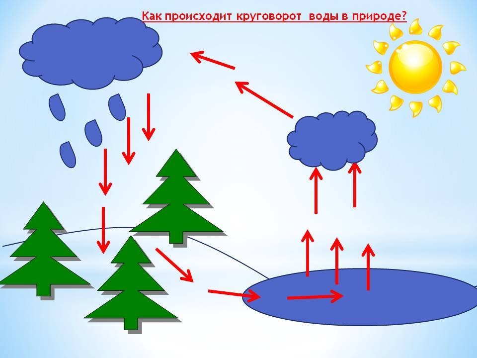 Простой рисунок круговорот воды в природе фото