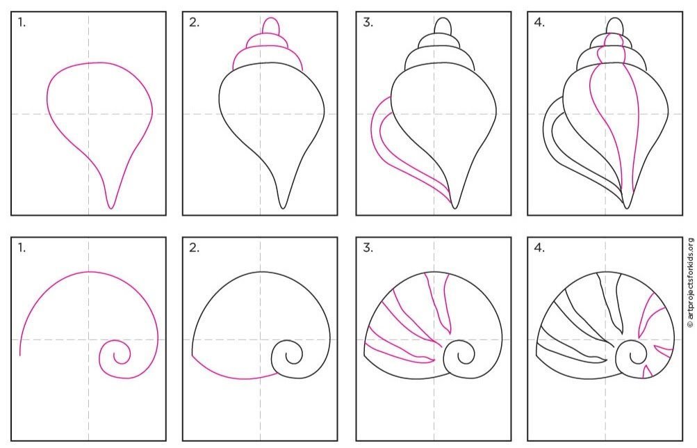 Ракушка рисунок для детей карандашом фото
