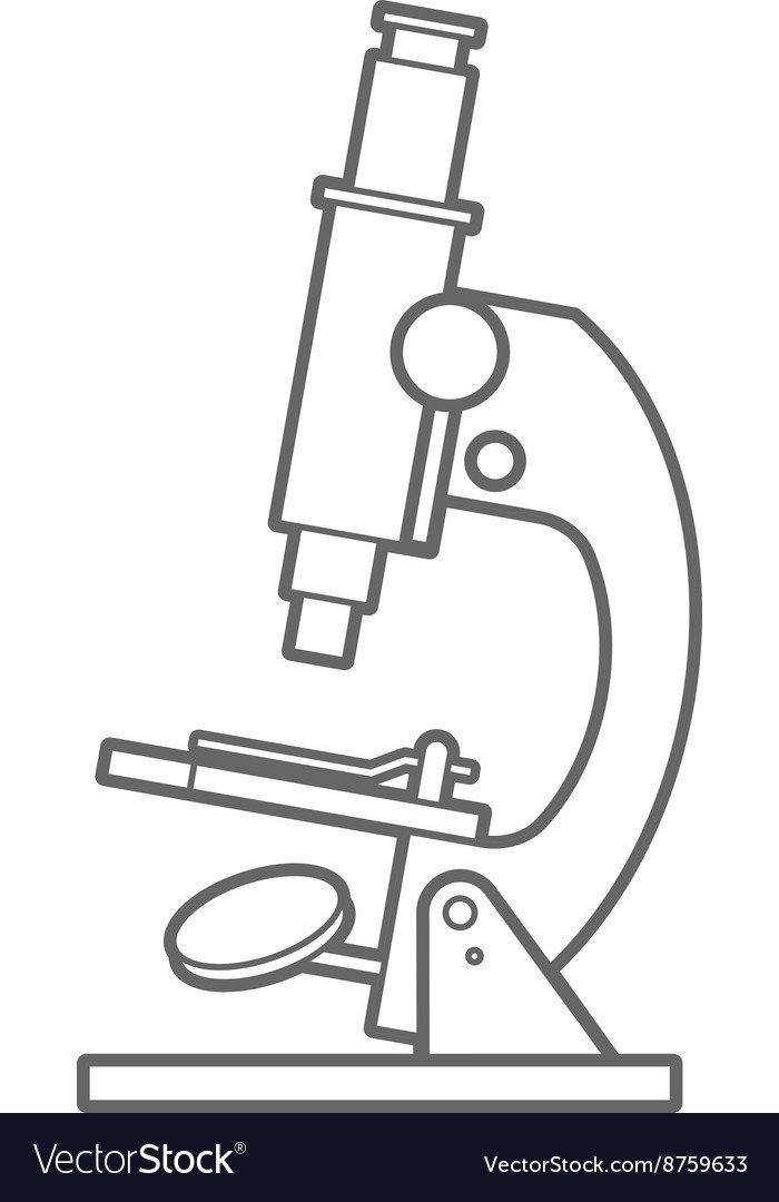Рисунки микроскопа легкие фото
