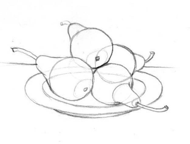 Рисунки натюрморт с фруктами простым карандашом фото