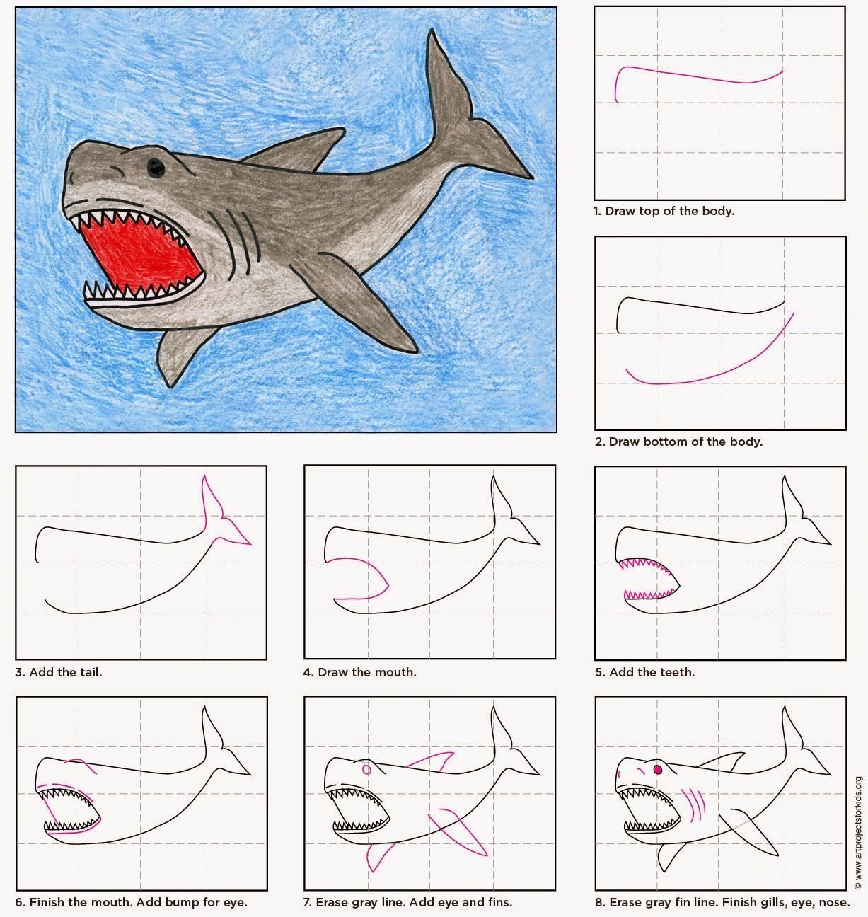 Рисунок акулы для детей карандашом простой рисунок фото