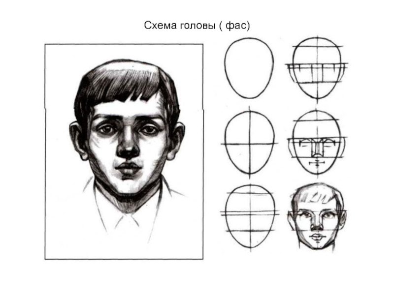 Рисунок головы человека в фас карандашом легкое фото