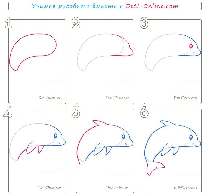 Рисунок карандашом дельфин для детей фото