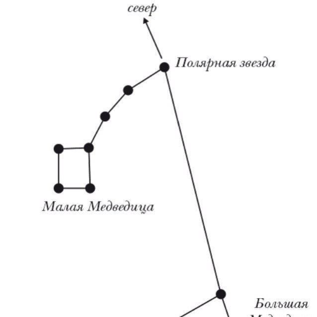 Рисунок маленькой медведицы фото