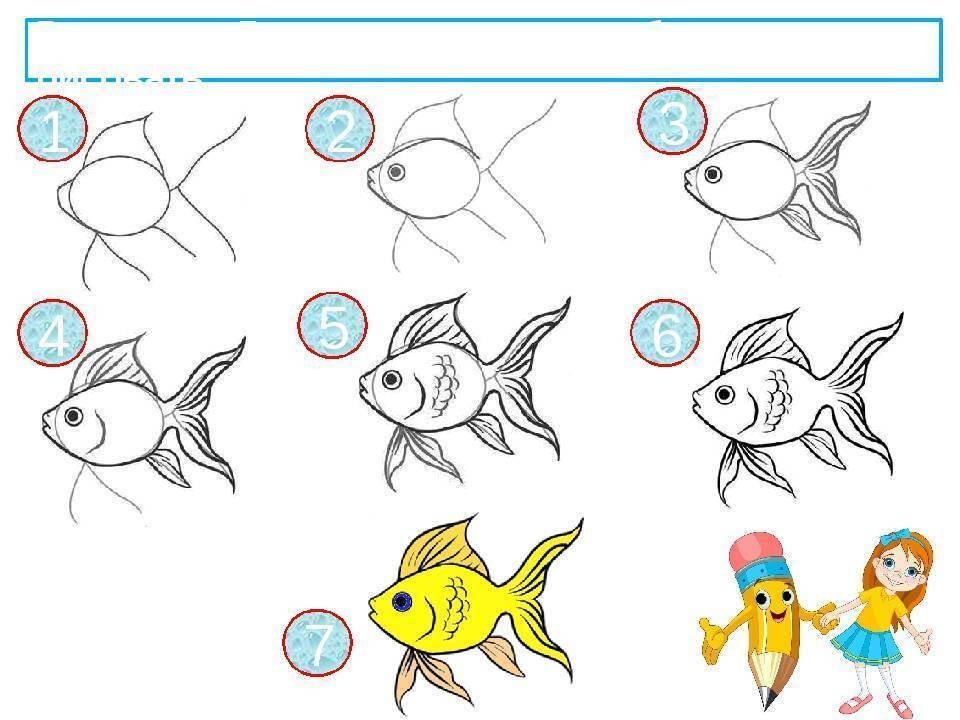 Рисунок золотая рыбка карандашом для детей легко фото